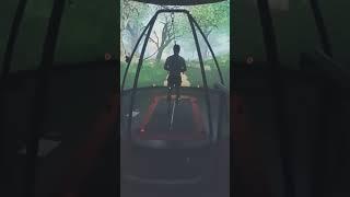 Dual Tasking and Biomechanics/Cognition