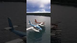 Shout put to @gamerpilot-ld5hp for the clips! #viralvideo #msfspilot #airplane #flightsimworld