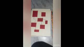 international organizations| school project| class 12 |united nations|board file