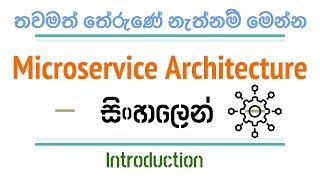 Microservice Architecture in Sinhala - Intro | Microservice සිංහලෙන්