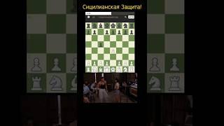 Сицилианская Защита! Sicilian Defense! #шахматы #chess #shorts