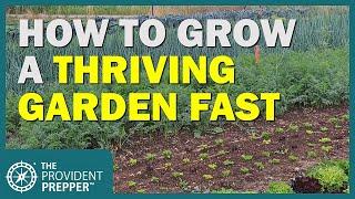 Survival Gardening: How to Grow a Thriving Garden the First Year