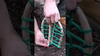 trap #bushcraft #trap #survival