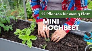 Mini-Hochbeet in Mischkultur - 22 Pflanzen auf kleinstem Raum