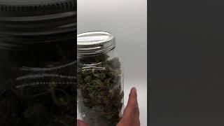 Lifter CBD flower review by SmokeLegalCBD.com