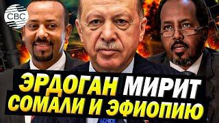 Эрдоган мирит Африку: президент Турции усадил за стол переговоров Сомали и Эфиопию