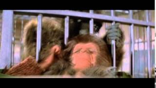 Muerte del Dr. Milo - Escape from the planet of the Apes (1971)