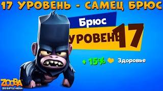 КАЧАЕМ САМЦА БРЮСА НА 17 УРОВЕНЬ В ИГРЕ ZOOBA