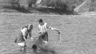 Plutăritul în Bucovina   - istoric