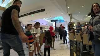 Cash 2.0 Great Dane deer 2022 at the mall 2