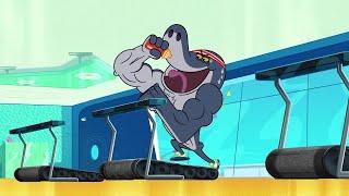 Zig & Sharko  NO PAIN NO GAIN WITH SHARKO  Full Episode in HD