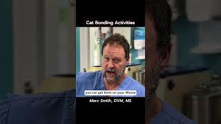 Best Toys to Keep Your Cat Stimulated by Marc Smith, DVM, MS