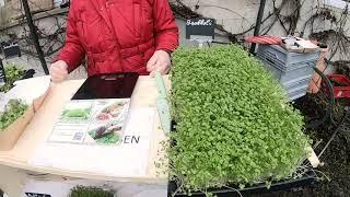 Verkostung Biohof Dünninger Hofheim. Microgreens Unterfranken Mikrogrün Haßberge