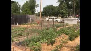 Community Gardens: Planning Your Priorities