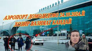 АЭРОПОРТ ДОМОДЕДОВО ВАЗИЯАТ КАНДАЙ 24.10.2024.#tjik#uzb#rekomendasi#