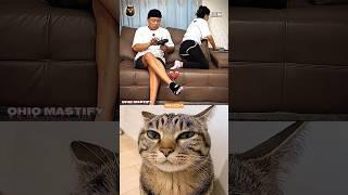 Husband prank  #cat #funny #tiktok #memes