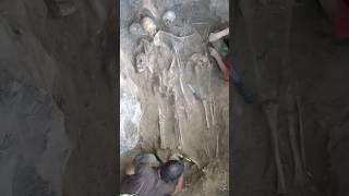He tried to whisper his name from the mass grave - WWII Stalingrad exhumations at Вертячий