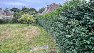 Continuing the Tidy of my Grandma’s Overgrown Garden!