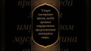Сахих аль-Бухари صحيح البخاري (Книга Имана, Хадис №19)  #хадисы #ислам #аскетизм