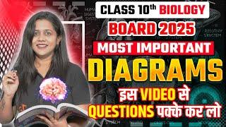 Class 10 UP Board 2025 Biology Chapter Wise Most Important Diagram List | 10th Biology Diagrams