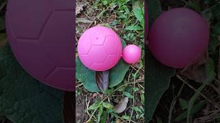 pink egg #horror #scary #creepy #bhoot #ncs #egg #eggs