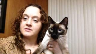 Fe Time - Meow Box March 2014