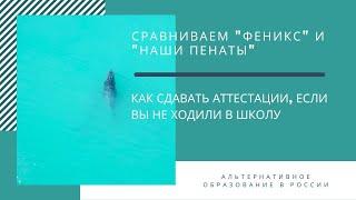 Ответы на вопросы участников группы Альтернативное образование в России.