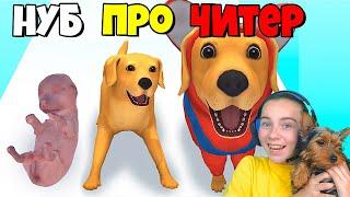 ЭВОЛЮЦИЯ СОБАЧЬЕЙ ЖИЗНИ, МАКСИМАЛЬНЫЙ УРОВЕНЬ Dog Life Simulator