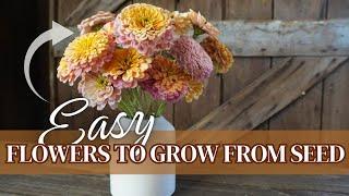 Favorite Cut Flowers to Grow From Seed! (Top Picks for Easy to Grow Annuals)