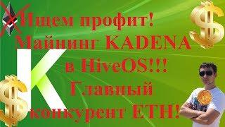 Ищем профит! Майнинг KADENA (KDA) в Hive OS!!! Главный конкурент ETH