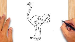 How to draw Ostrich Easy