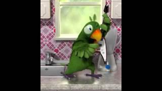 Talking Pierre the Parrot Song