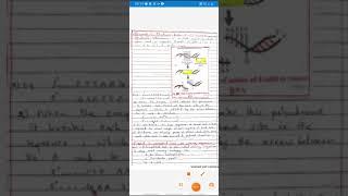 Easy & Simple -  Biotechnology- Palindrome   (Vijaya Patil)Kop