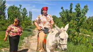 Rural life in Iran: The daily life of a rural woman and the amazing simple food in rural life