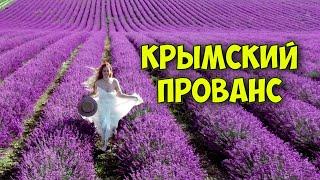 Куда ХОТЯТ все ДЕВУШКИ. Проверила лавандовые поля. И Прованс не нужен!