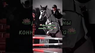 Такое грациозное животное️ #выездка #horse #конкур #конныйспорт #лошади #fyp