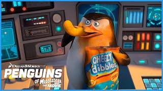 Penguin Adventures!  | Penguins of Madagascar | DreamWorks Madagascar