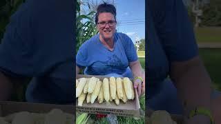 Corn harvest #feedstore #smallfamilybusiness #supportlocal #louisiana #gardening101 #gardening