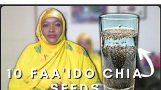 WAAKANAA MUUQAALKII AAN UGA HADLAY WAXTARKA CHIA SEEDS