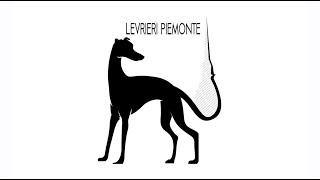 Levrieri Piemonte ODV - Arrivo Greyhound 1 Ottobre 2023