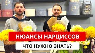 НАРЦИСС ВО ФЛОРИСТИКЕ! Нюансы нарциссов. Виды нарциссов, цена, стойкость. Советы флористов.