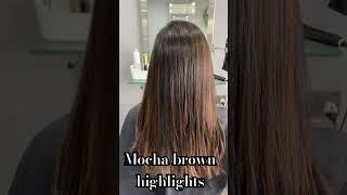 Mocha brown highlights#mochabrown#colour#shortvideo#youtubesearch#youtubeshorts#subscribemychannel