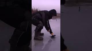 #рыбалкаскарпятником #рыбалка #рыболов #fishing