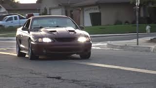 1998 FORD SVT COBRA MUSTANG