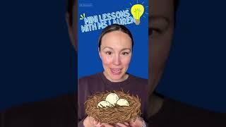 Mini Lessons With Miss Lauren: Springtime!  ️ #springtime