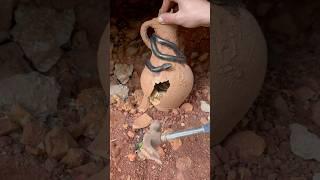 The serpent’s hoard.a jar overflowing with gold #treasurehunt  #serpent #metaldetector #adventure