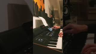 Cheek To Cheek by Lowell George - Keyboard cover (with Kaoss) on Korg PA5X.