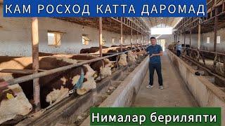 КАМ РОСХОД КАТТА ДАРОМАД БУКА БОКИШ СИРЛАРИ ( ЯНГИ БИЗНЕС )