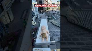 Squishy Baby SPLATS Off Bridge In Japan! #japan #funny #squishy #funnyanimal #funnymonkey #baby