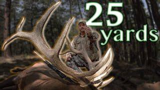Hunter dodges charging bull! Elk Hunting with Guy Eastman